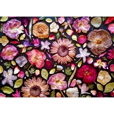 ENJOY Puzzle Rosa 1000 Teile