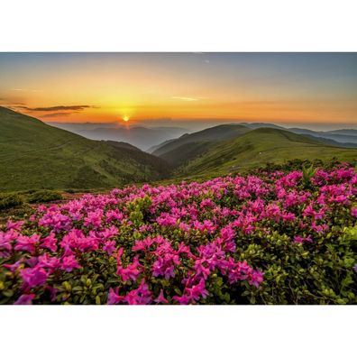 ENJOY Twilight Puzzle 1000 Teile