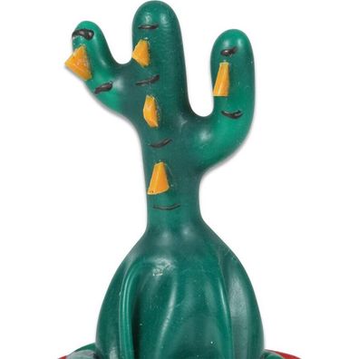 Condomerie Condomerie - Handbemalte Neuheitskondome Kaktus Gelegt