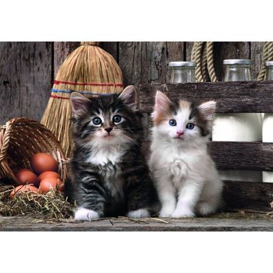 Hochwertige Lovely Kittens Puzzle 1000pcs