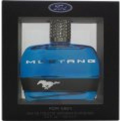 Ford Mustang Mustang Blau