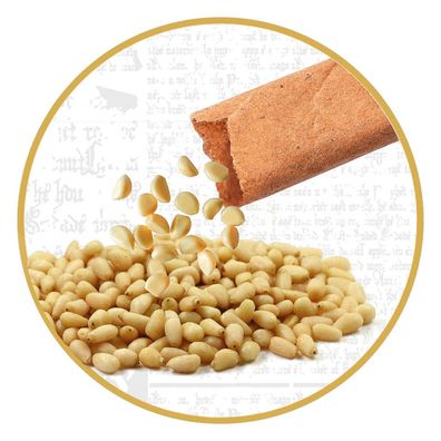 Clementoni Harry Potter - Terrarium, Experimentierkasten