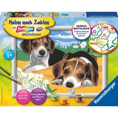 Ravensburger Ravensburger 28329 Malen nach Zahlen: Jack Russel Welpen