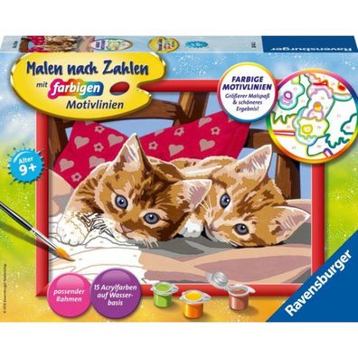 Ravensburger Ravensburger 28342 Malen nach Zahlen: Zwei Schmusekätzchen
