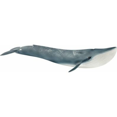 schleich® Wild Life 14806 Blauwal, ab 3 Jahre