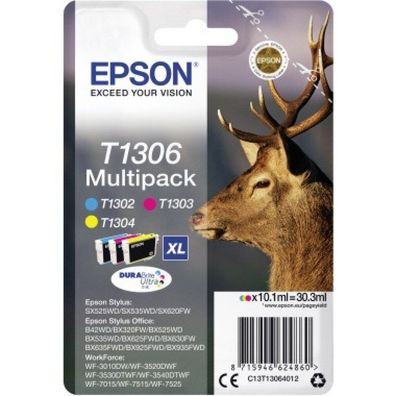 Epson Epson Ink Multipack T1306 (C13T13064012)