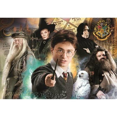 Harry-Potter-Puzzle 1000Stück