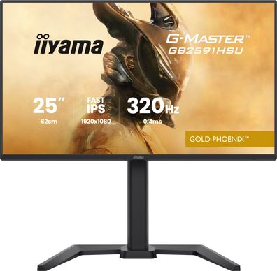 IIYAMA 68.6cm (24,5") GB2591HSU-B1 16:9 2xHDMI+DP+2xUSB-C