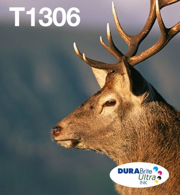 Epson Original Easy Mail Packing T1306 Hirsch Druckerpatronen 3er Multipack C/M/Y (C1