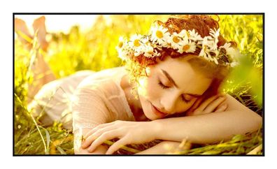 LG Prof. Display 43UL5Q-E