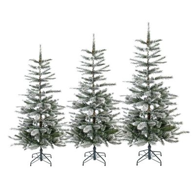 Evergreen Weihnachtsbaum Cedar Frost Kiefer mit Metallständer - Größe :