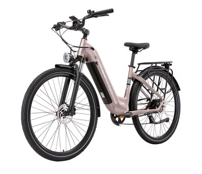 Maxtron Marathon 28 Zoll E-Bike 250W 40Nm 810Wh Elektrofahrrad 36V22.5Ah ebike