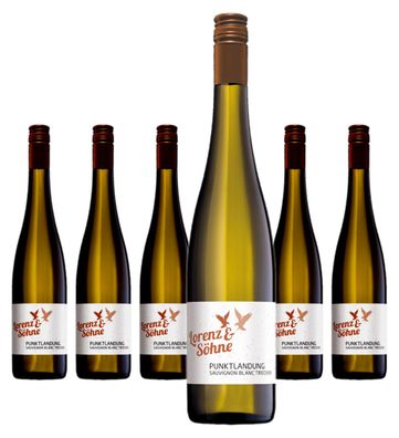 6 x Lorenz & Söhne Sauvignon Blanc Qualitätswein trocken "Punktlandung" – 2025