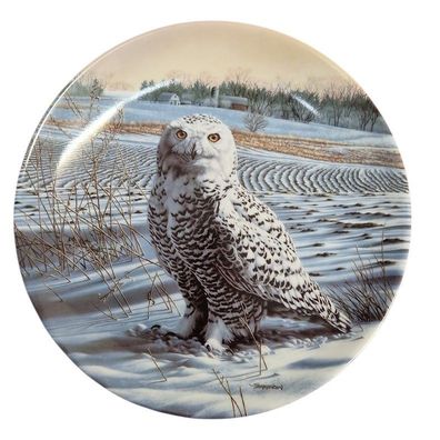 Jim Beaudoin Wandteller "The Snowy Owl" Knowles Porzellan Sammelteller Eule 1989