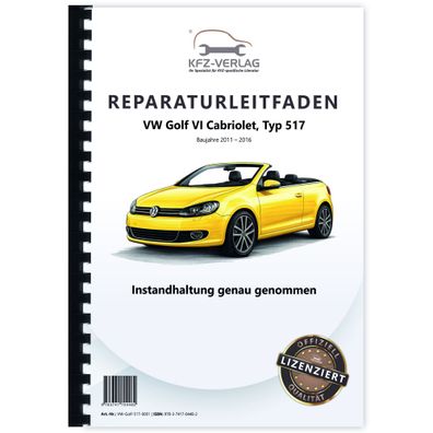 VW Golf 6 Cabriolet (11-16) Instandhaltung Inspektion Wartung Reparaturanleitung
