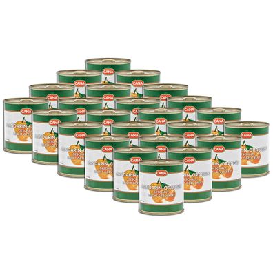 Mandarinen-orangen-dose 24x 175g von CANA für Obstsalat Dessert Eiscreme