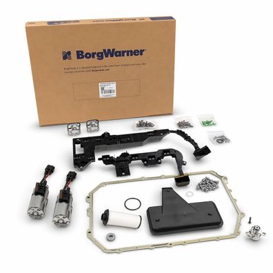 BorgWarner 202383 DL501 + Filterset Kit für DSG S-Tronic Audi A4 A5 A6 A7 Q5