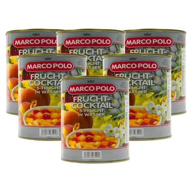 5-Frucht-Cocktail in Wasser 6 Dosen Füllmenge 820g ATG 500g