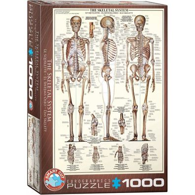 Das Skelett 1000 Teile Puzzle