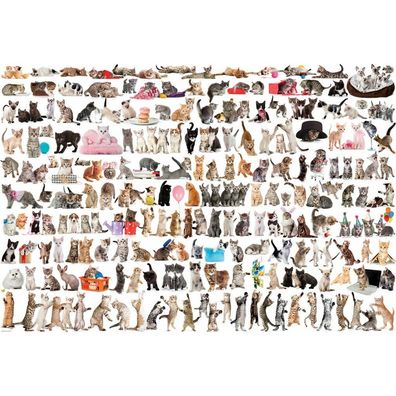 Eurographics Puzzle World of Cats 2000 Teile