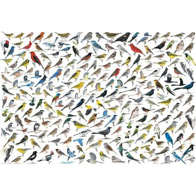 Eurographics Puzzle Welt der Vögel 2000 Teile