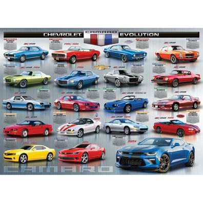 Eurographics Puzzle Evolution Camara 1000 Teile