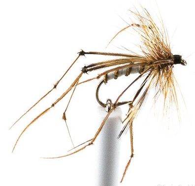 Daddy Longleg barbed - Trockenfliege - mit Widerhaken