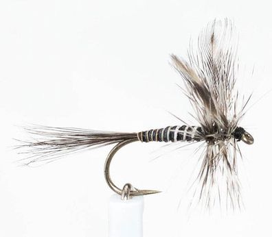 Trockenfliege - Mosquito - barbed