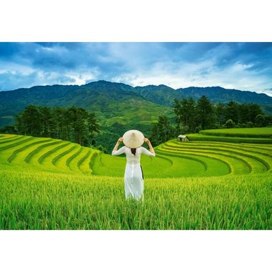 Puzzle da 1000 Pezzi - Campi di Riso in Vietnam