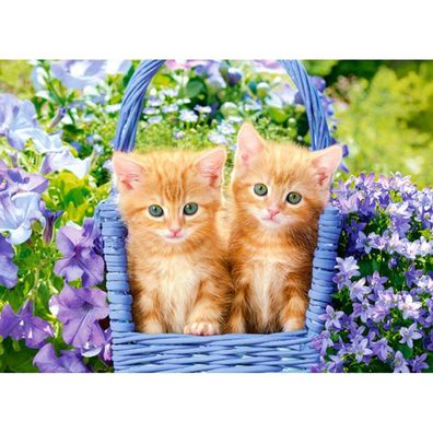 Castorland Puzzle Ginger Kätzchen 70 Teile