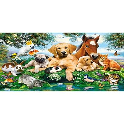 Castorland Puzzle Sommerfreunde 500 Teile