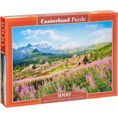 Castorland Puzzle Gsienicowa Tal, Tatra 1000 Teile