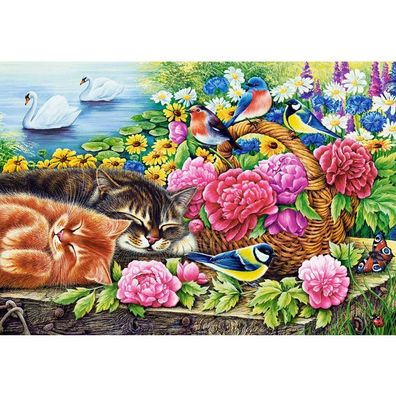 Castorland Fauler Sonntag Puzzle 1000 Teile
