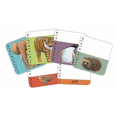 DJECO Kartenspiel Who of Who