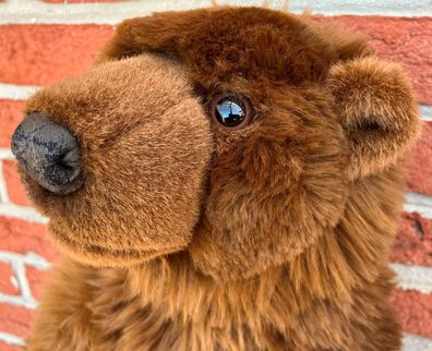 EBO 10034 Grizzly Bär Braunbär Waldbär Braun Plüschtier Stofftier 42cm NEU!