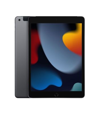 Apple iPad (2021) 256GB WiFi + 4G Space Grau - Kaufen