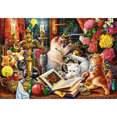 Castorland Puzzle Kätzchen Zauberer 1000 Teile