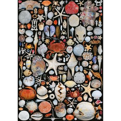 Piatnik Puzzle Vom Strand 1000 Teile
