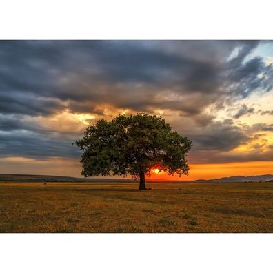ENJOY Twilight Puzzle 1000 Teile