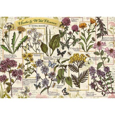 TREFL Puzzle Herbarium: Heilkräuter 500 Teile