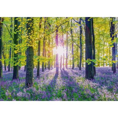 Schmidt Spiele Zarte Glockenblumen im Wald, Puzzle 1.000 Teile