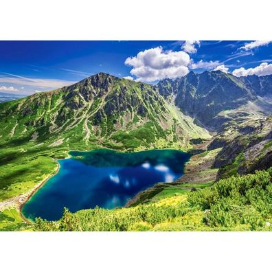 Castorland Puzzle Czarny Staw GÄ sienicowy, Tatry 500 Teile