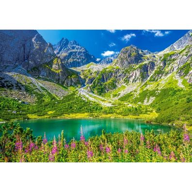 Castorland Puzzle Grüner See, Tatra 1000 Teile