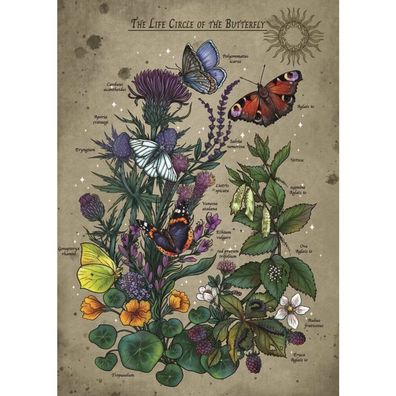 Ravensburger Lifecircle Butterfly