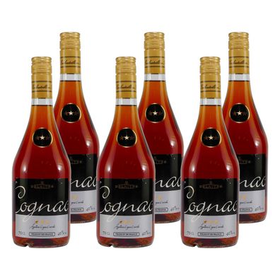 Delaitre Cognac V.S. (6 x 0,7L)