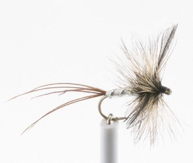 Trockenfliege - Mayfly Spent Grey - mit Widerhaken