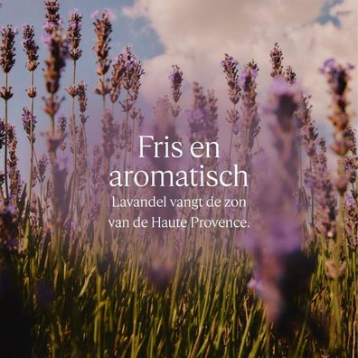 KARIT Confort Lavendel-Flüssigseife, Nachfüllpackung, 500 ml