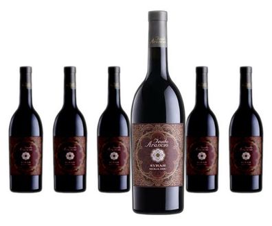 6 x Feudo Arancio Syrah – 2023