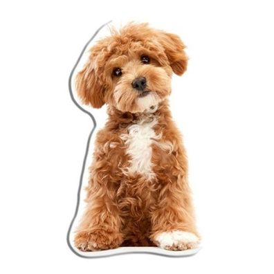 Hund Maltipoo Kissen Formkissen 45 x 25 cm