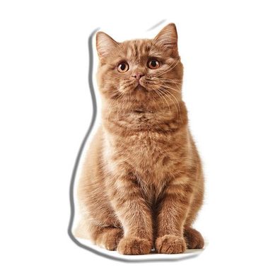 Katze Kissen Formkissen 45 x 25 cm